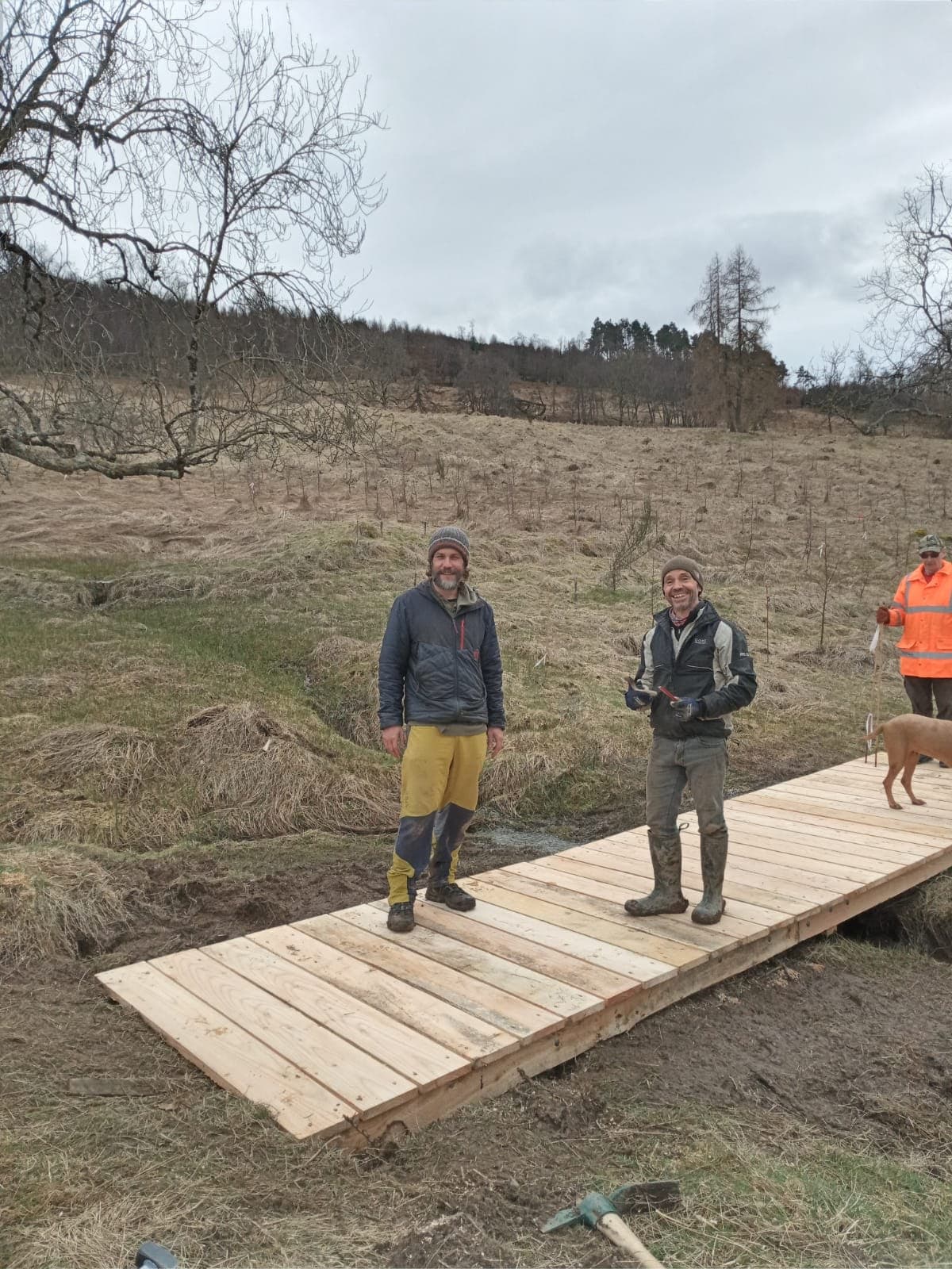 Volunteers standing on a newly built woodland walkway in the Comrie community woodland